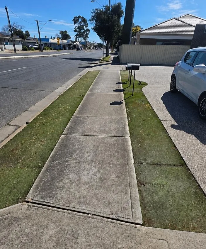 Before: Nature Strip Transformation - Before & After